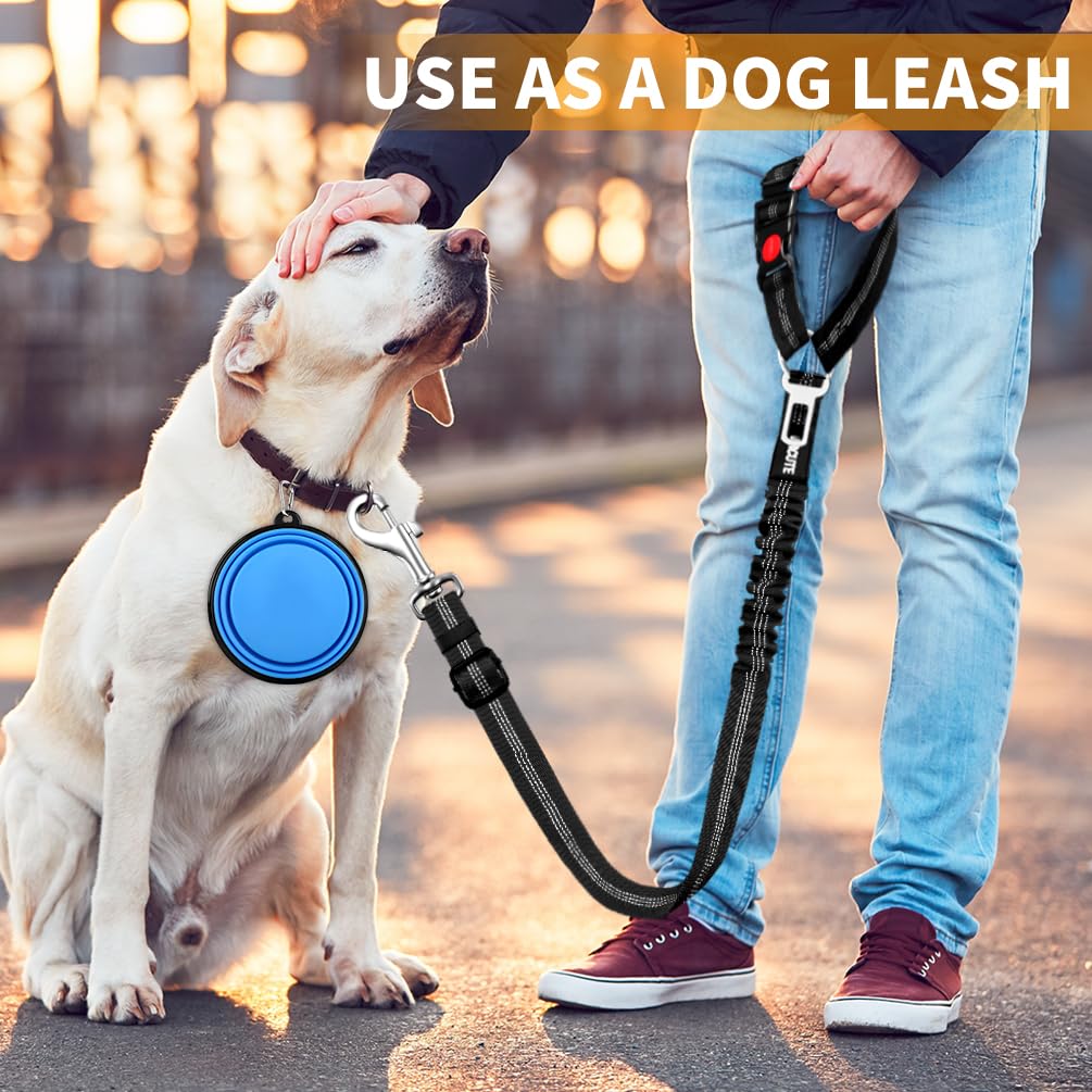 Paercute heavy-duty nylon strap highlights durability for active dogs.