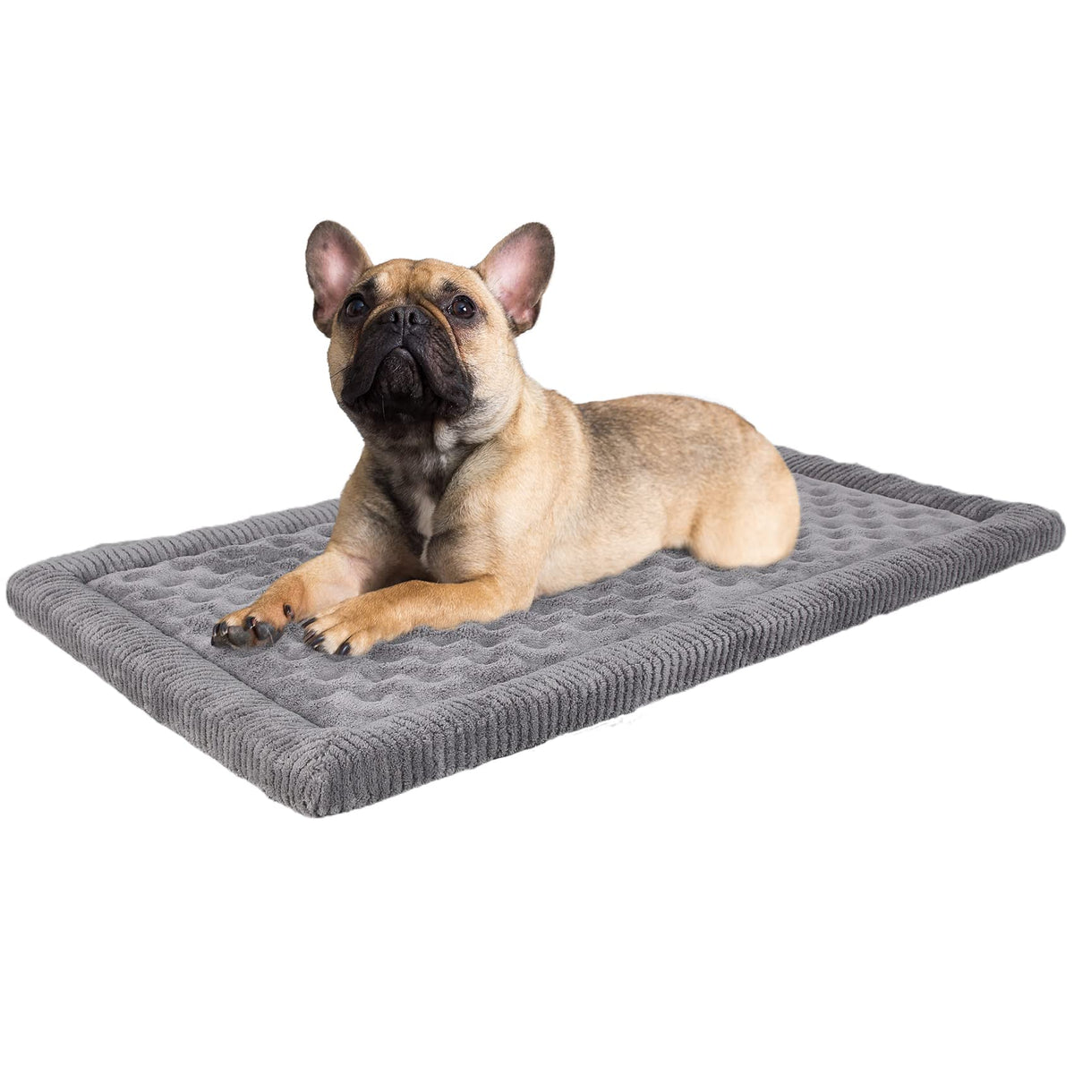 PAGGED dog crate pad top view highlights gray memory foam comfort for small to medium dogs.