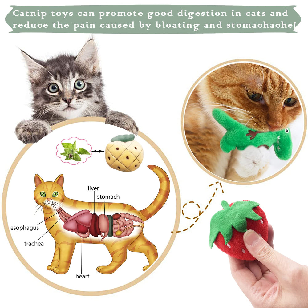 Pai Sence catnip toy duck invites gentle nibbling and long sessions.