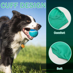 Paiaite breathable-polyester close-up demonstrates moisture-wicking for active dogs.
