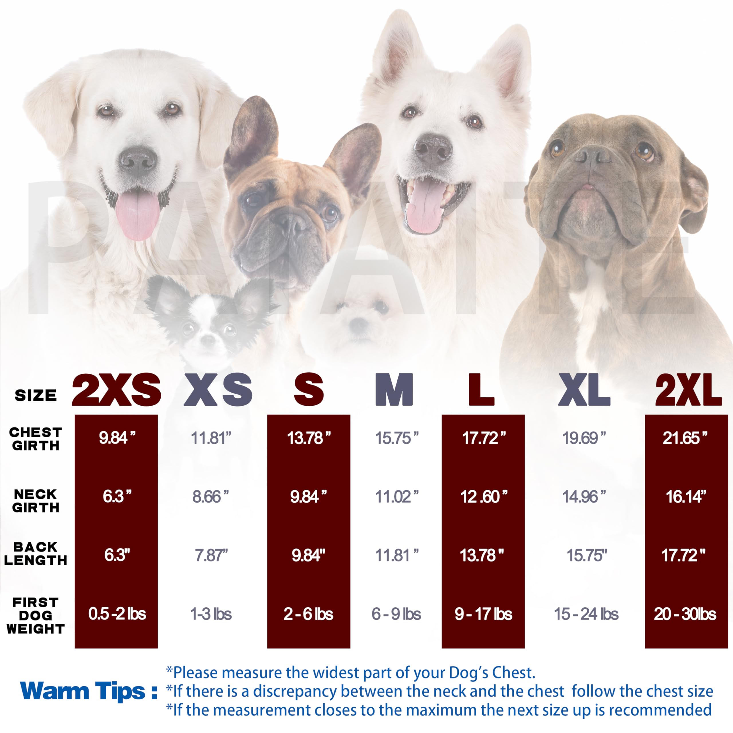 Paiaite Cozy Dog Shirt back view beige shows full coverage with year-round versatility.