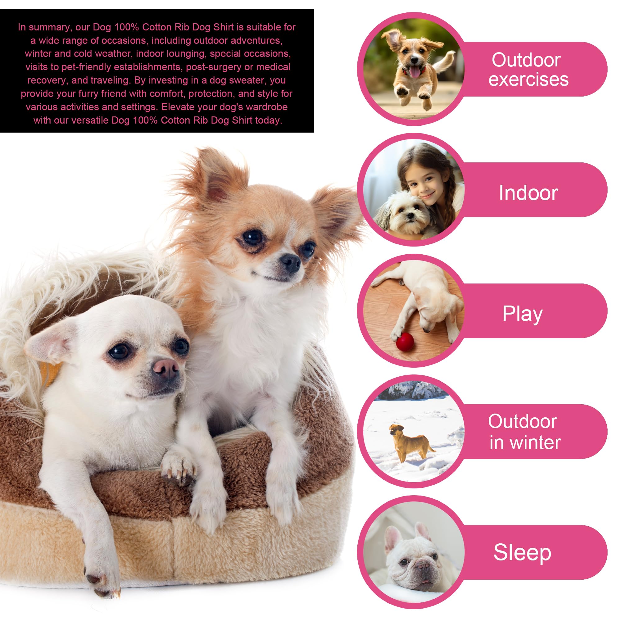 Paiaite measurement guide image helps select the best fit for small dogs.
