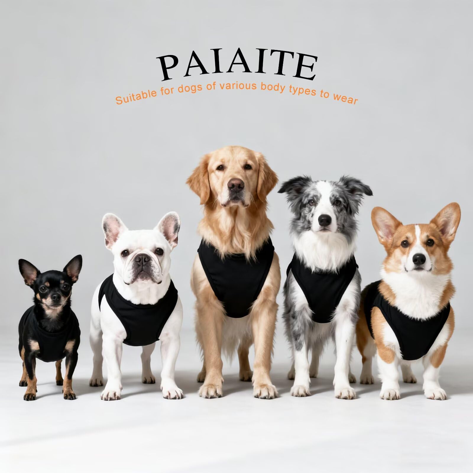 Paiaite easy-clean hand-wash graphic shirt preserves the print with gentle care.