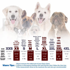 Paiaite hoodie with leash hole supports easy walks without removal.