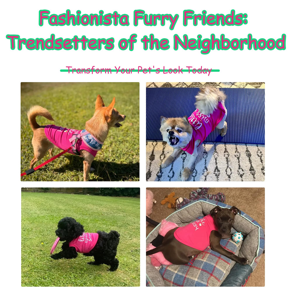 Paiaite Little Miss Sassy easy-on-off feature demonstrates stretchable fabric for simple dressing.
