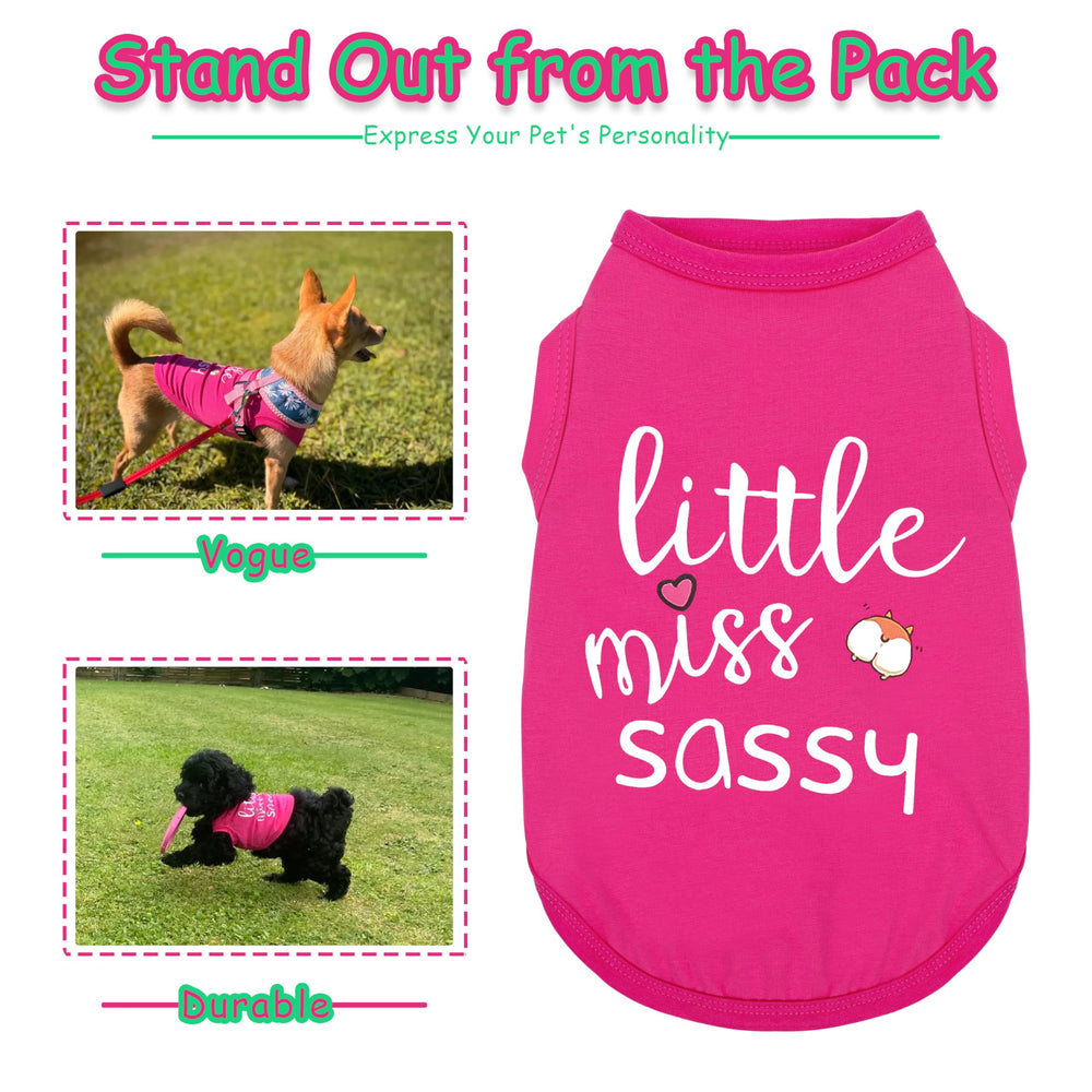 Paiaite Little Miss Sassy shirt back view showcases the print and breathable fabric.