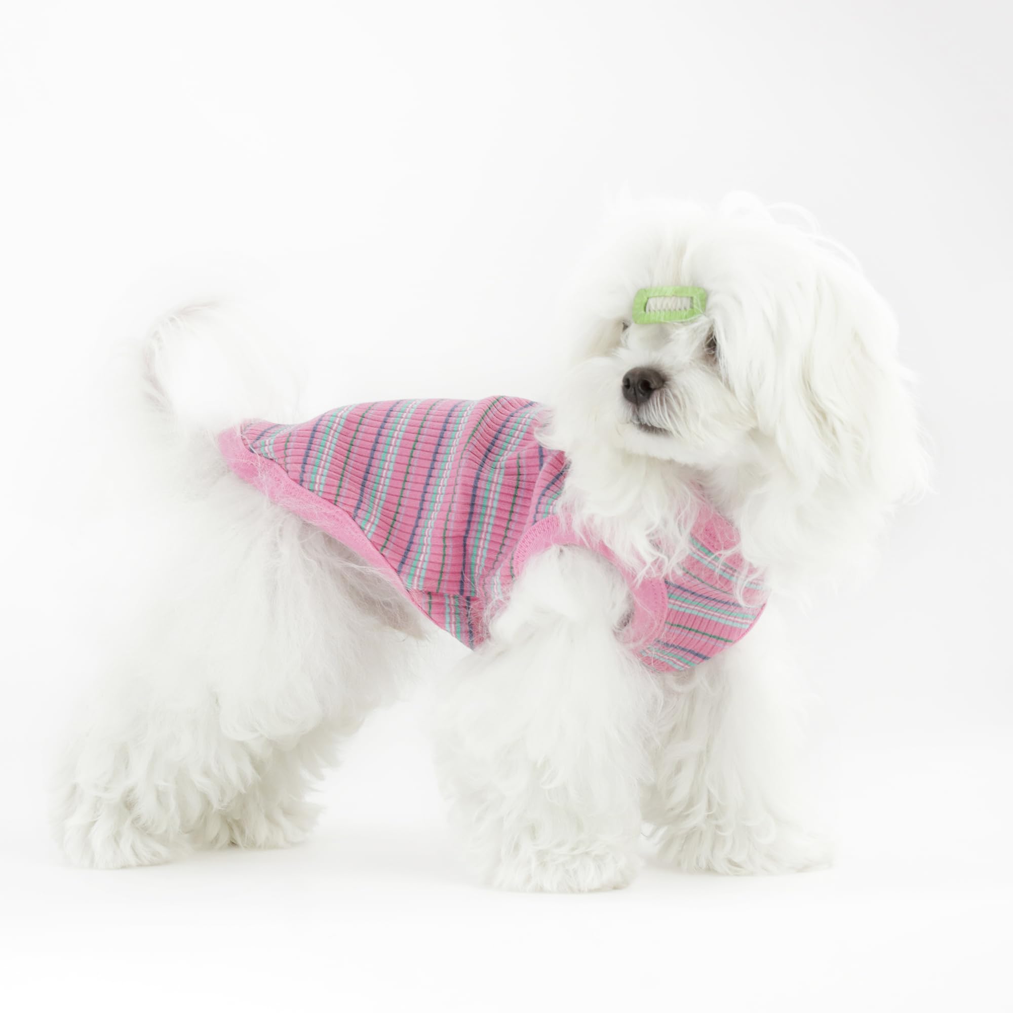 Paiaite outdoor walk dog shirt conveys durability and comfort.