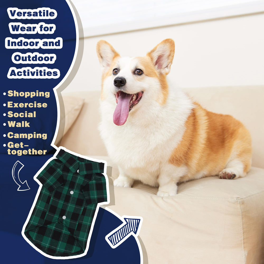 Paiaite plaid dog shirt looks photo-ready for stylish pet photoshoots