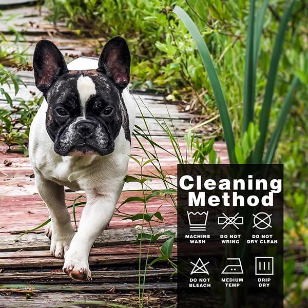 Paiaite size-chart-measurements — helps choose best fit for small to medium dogs