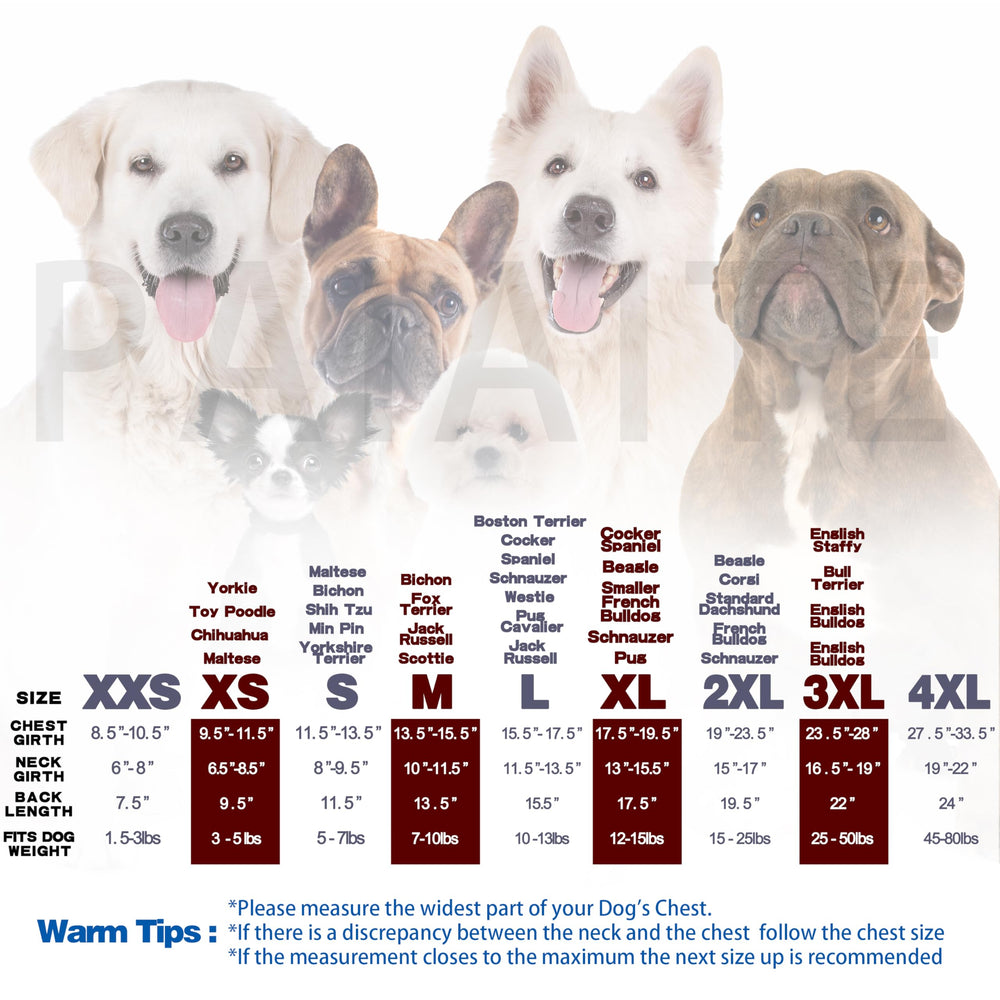 Paiaite dog hoodie features snug warmth for winter and cool summer nights.