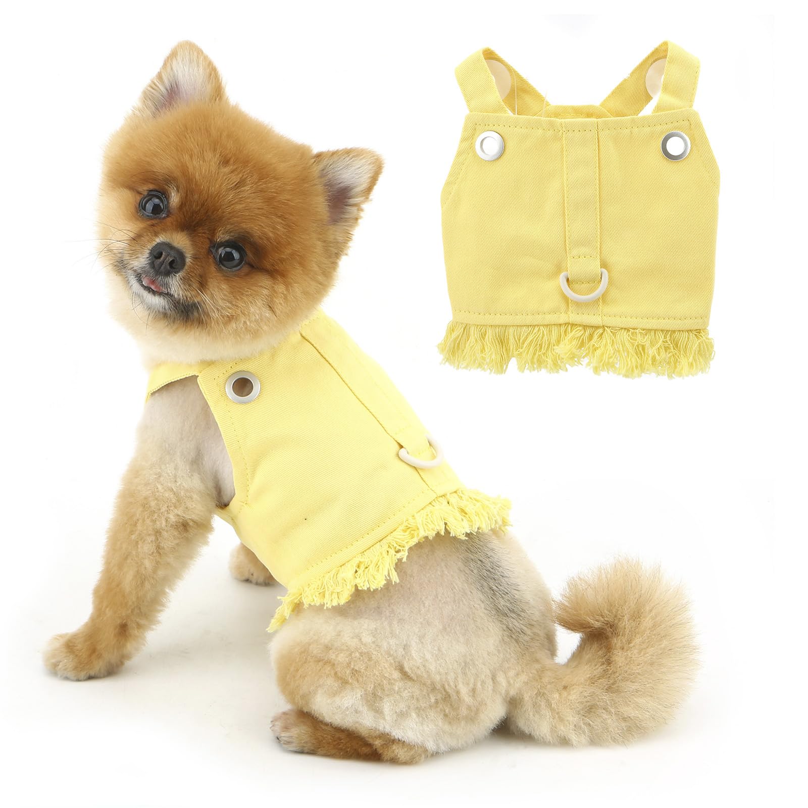 PAIDEFUL denim dog harness back D-ring attached leash for walks.