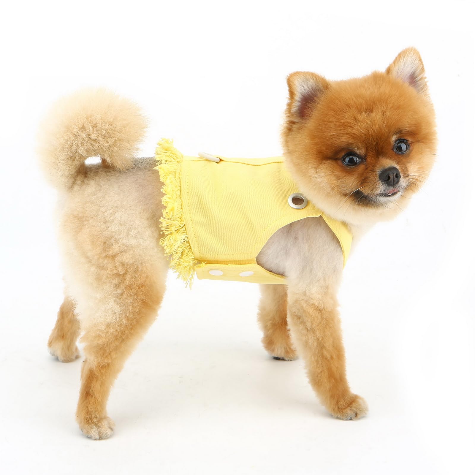 PAIDEFUL denim dog harness closeup reveals soft skin-friendly denim.