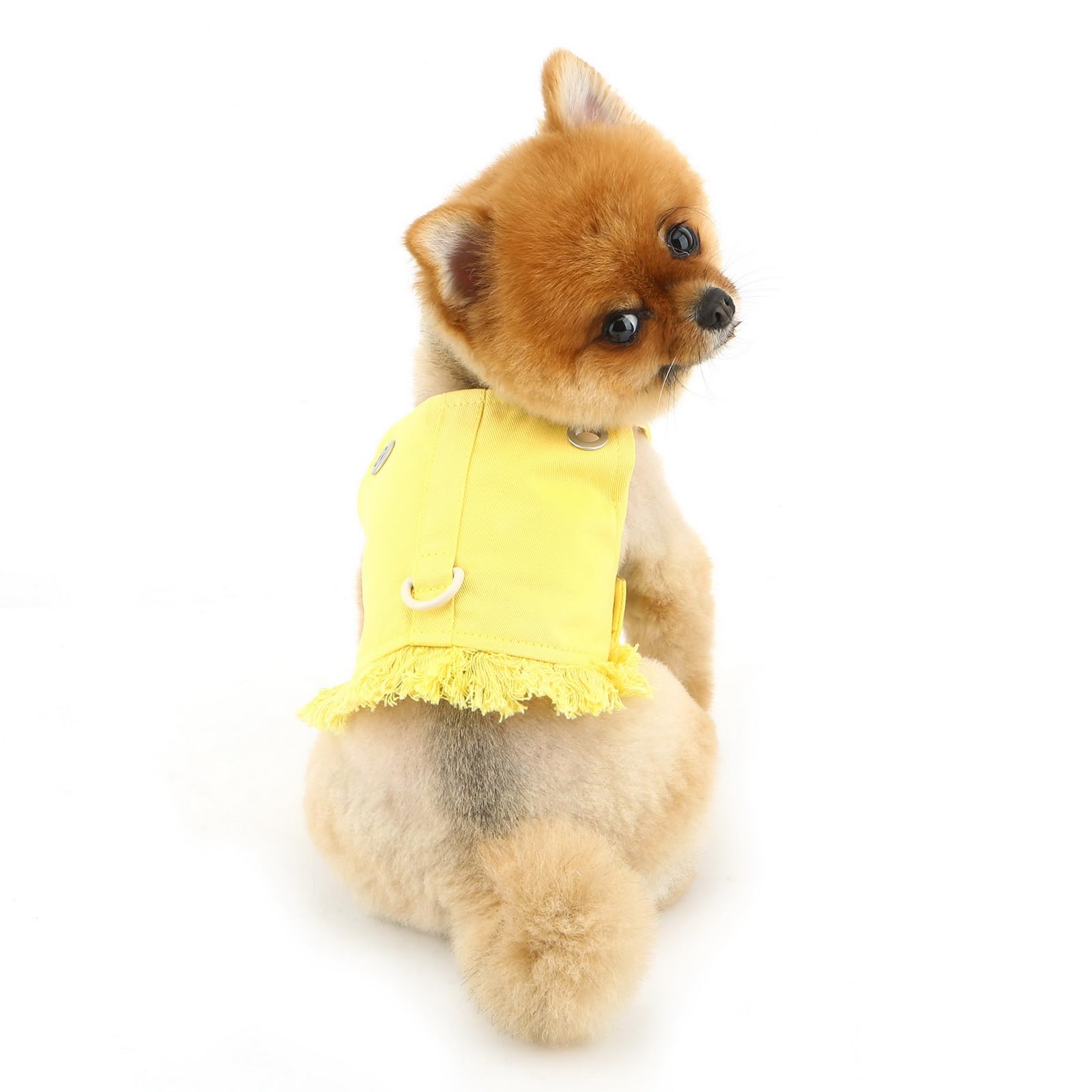 PAIDEFUL denim dog harness designed for small dogs under 20 lbs.