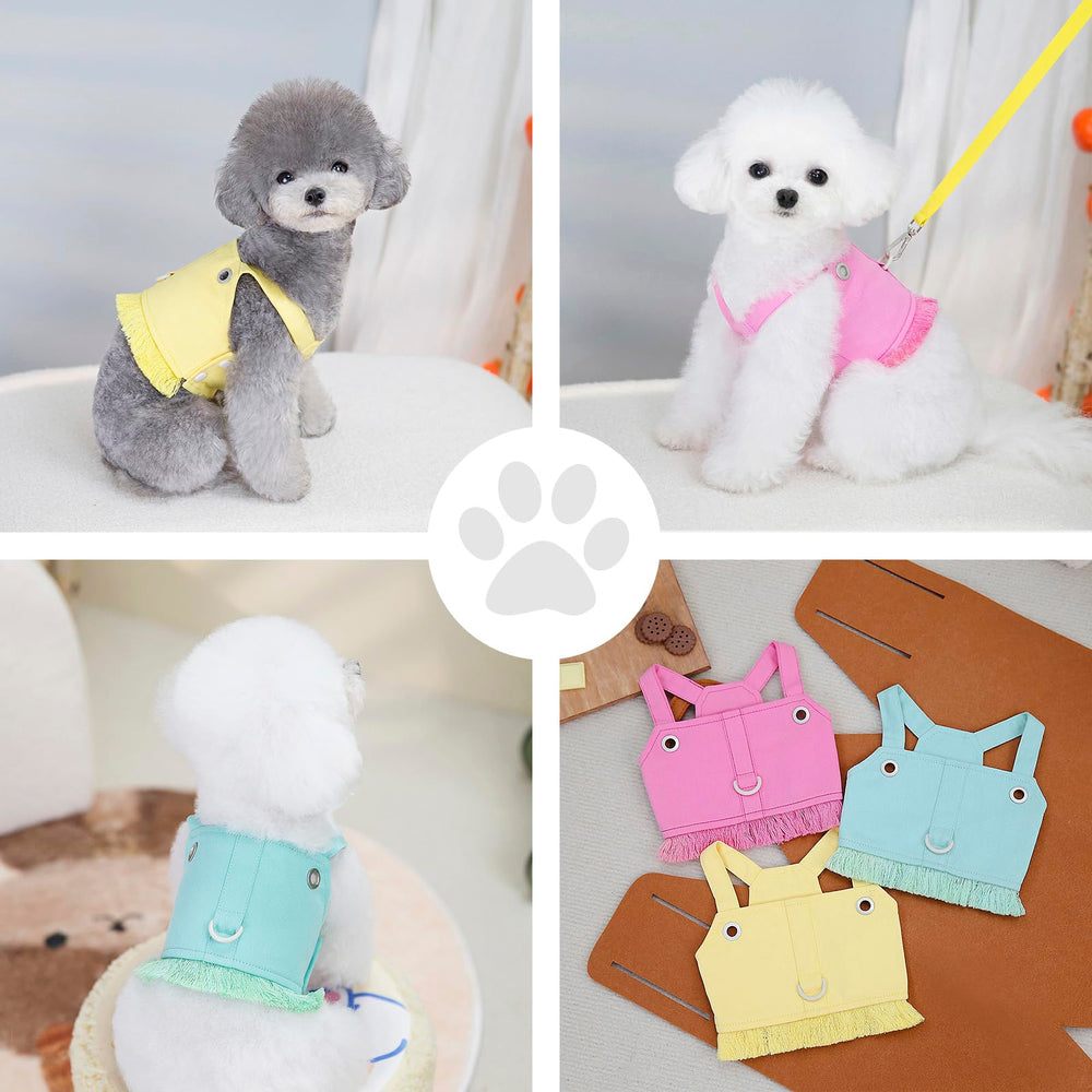 PAIDEFUL denim dog harness worn during a walk for confident outdoor activity.