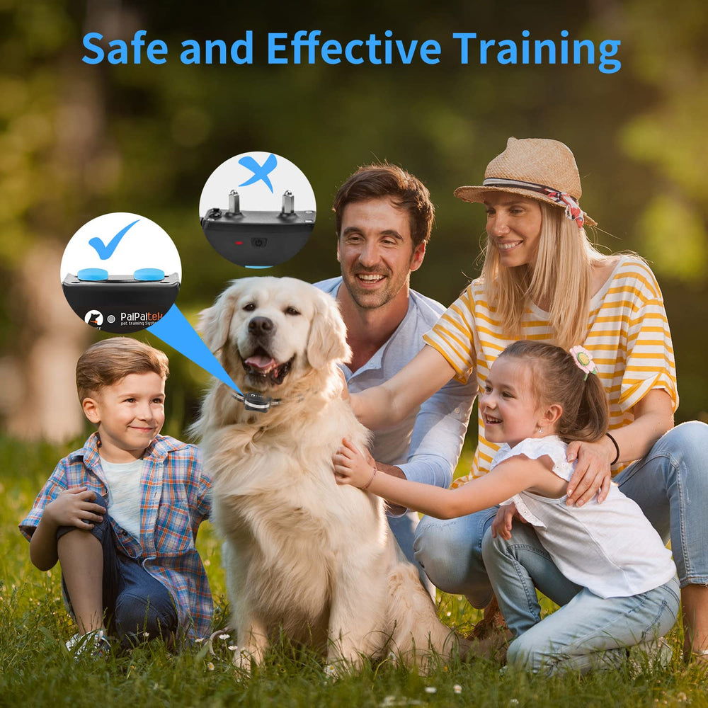 PaiPaitek bark collar automatic mode display for training options