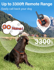 PaiPaitek bark collar IPX7 waterproof receiver for rain and splash use