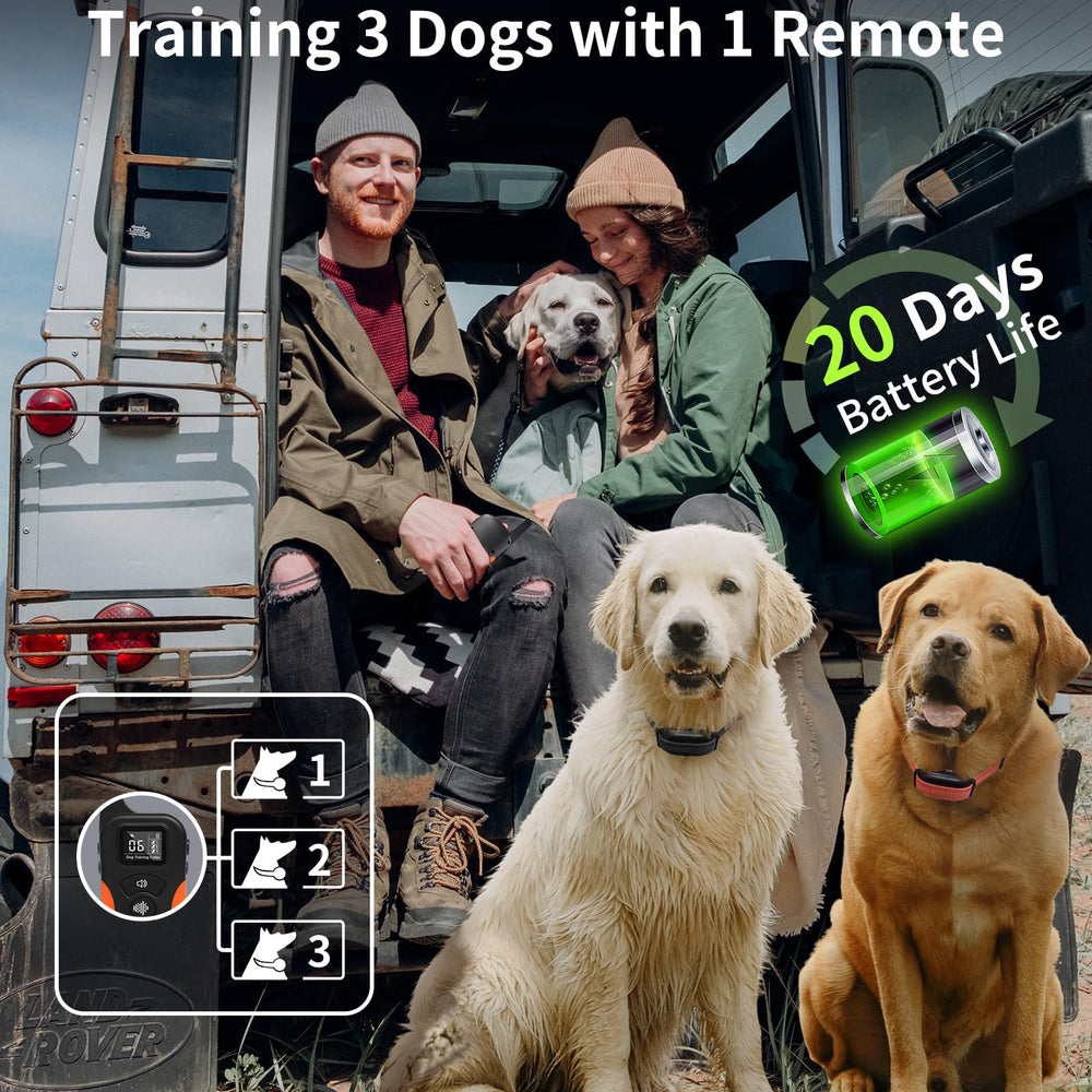 PaiPaitek dual charging keeps transmitter and receivers ready.