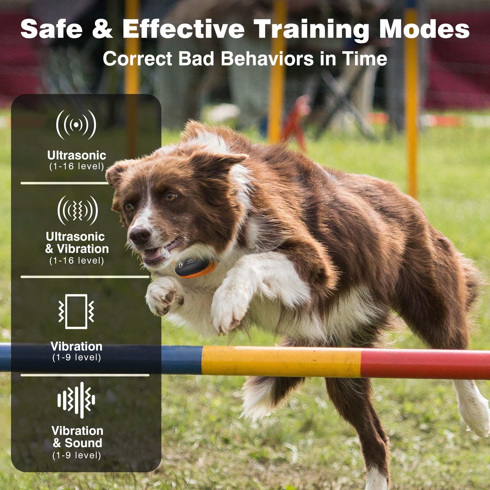 PaiPaitek 3300ft range enables training in parks and large yards