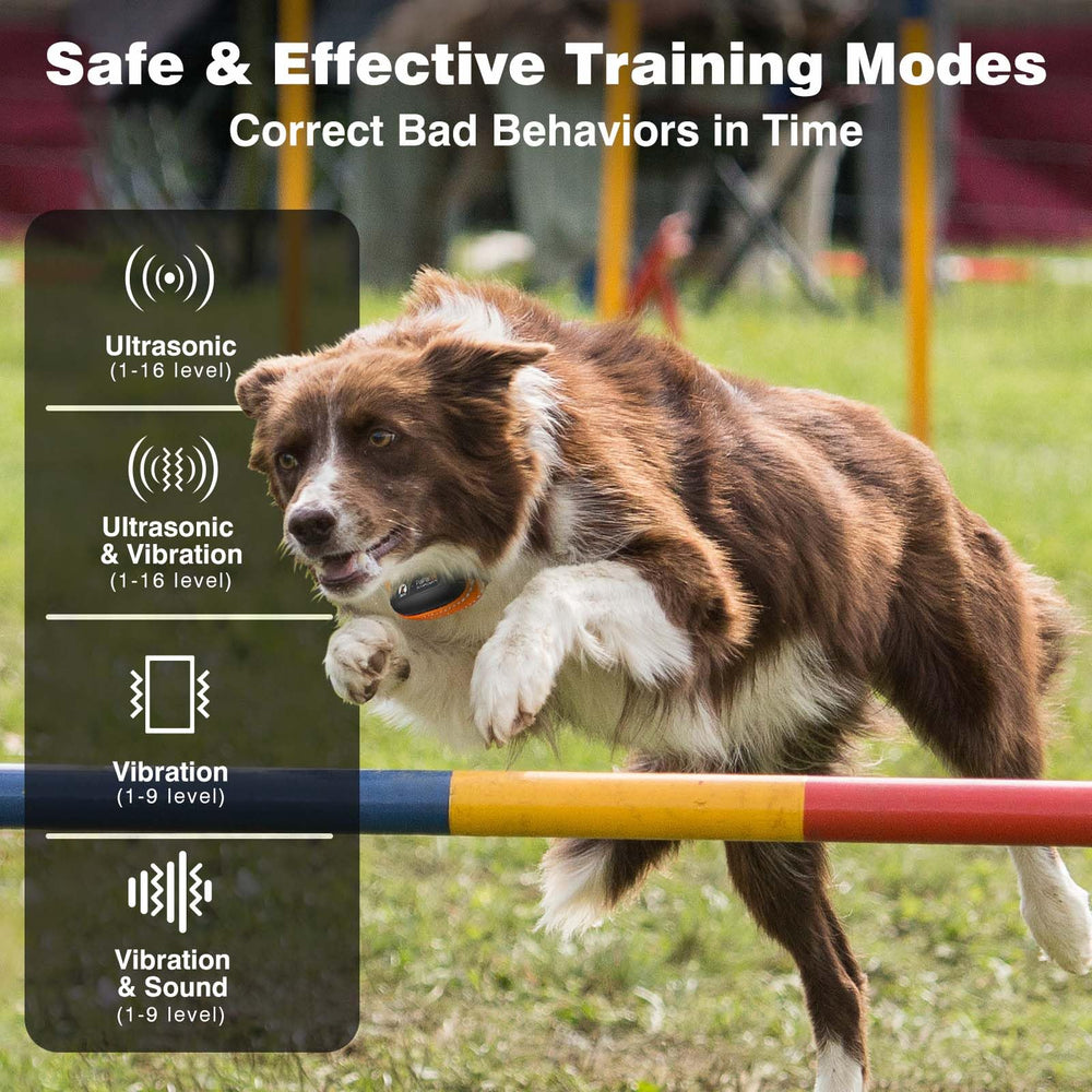 PaiPaitek 3300ft range enables training in parks and large yards