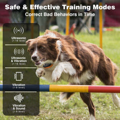 PaiPaitek 3300ft range enables training in parks and large yards