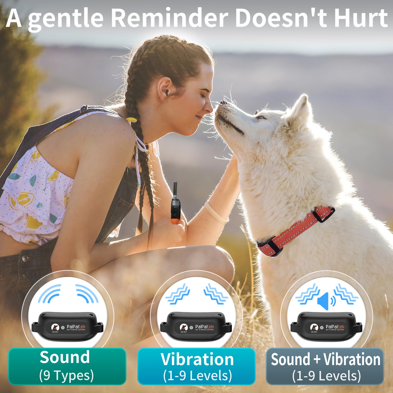 PaiPaitek collars fit dogs from 5 to 120 pounds.