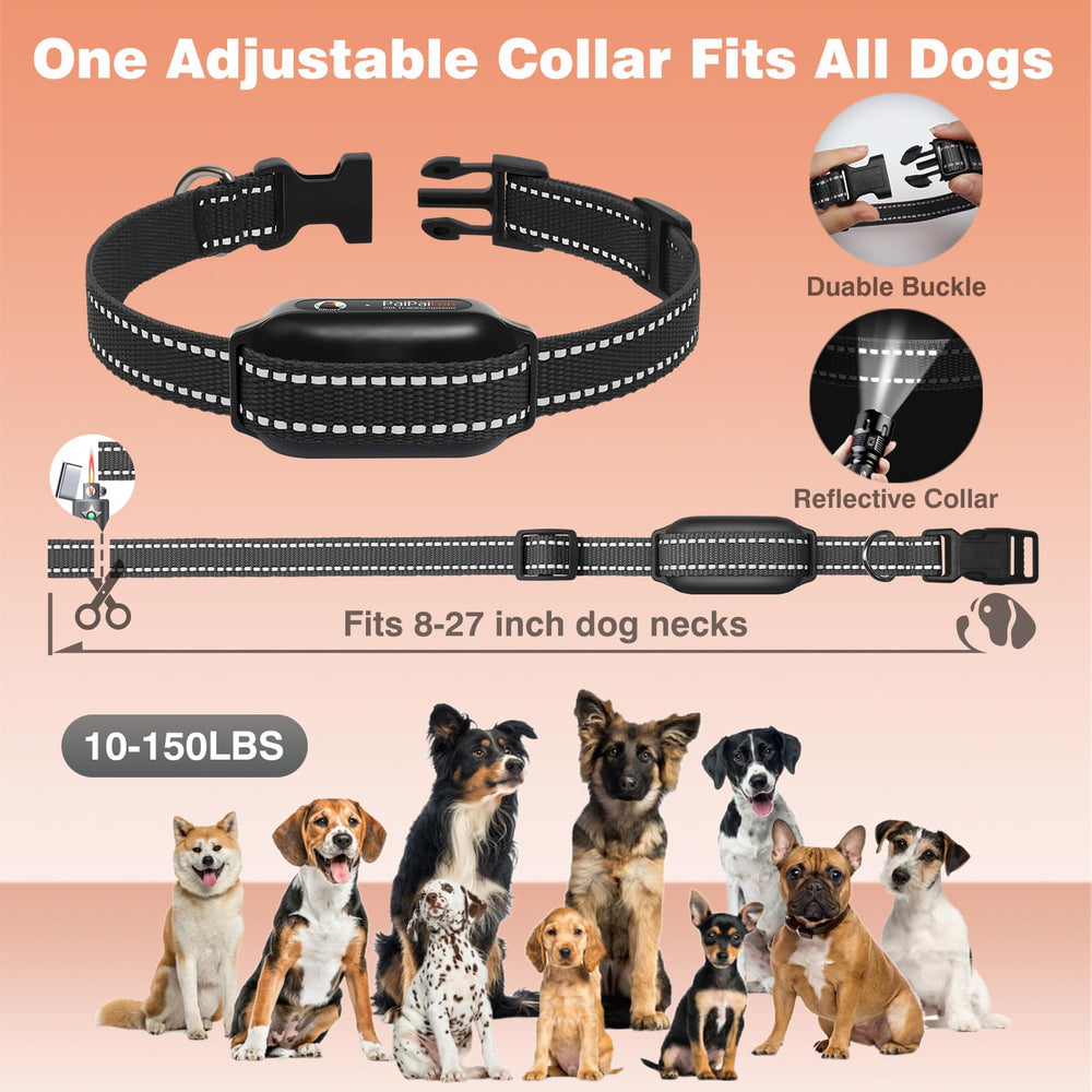 PaiPaitek fast charging with dual-port Type-C keeps collars ready