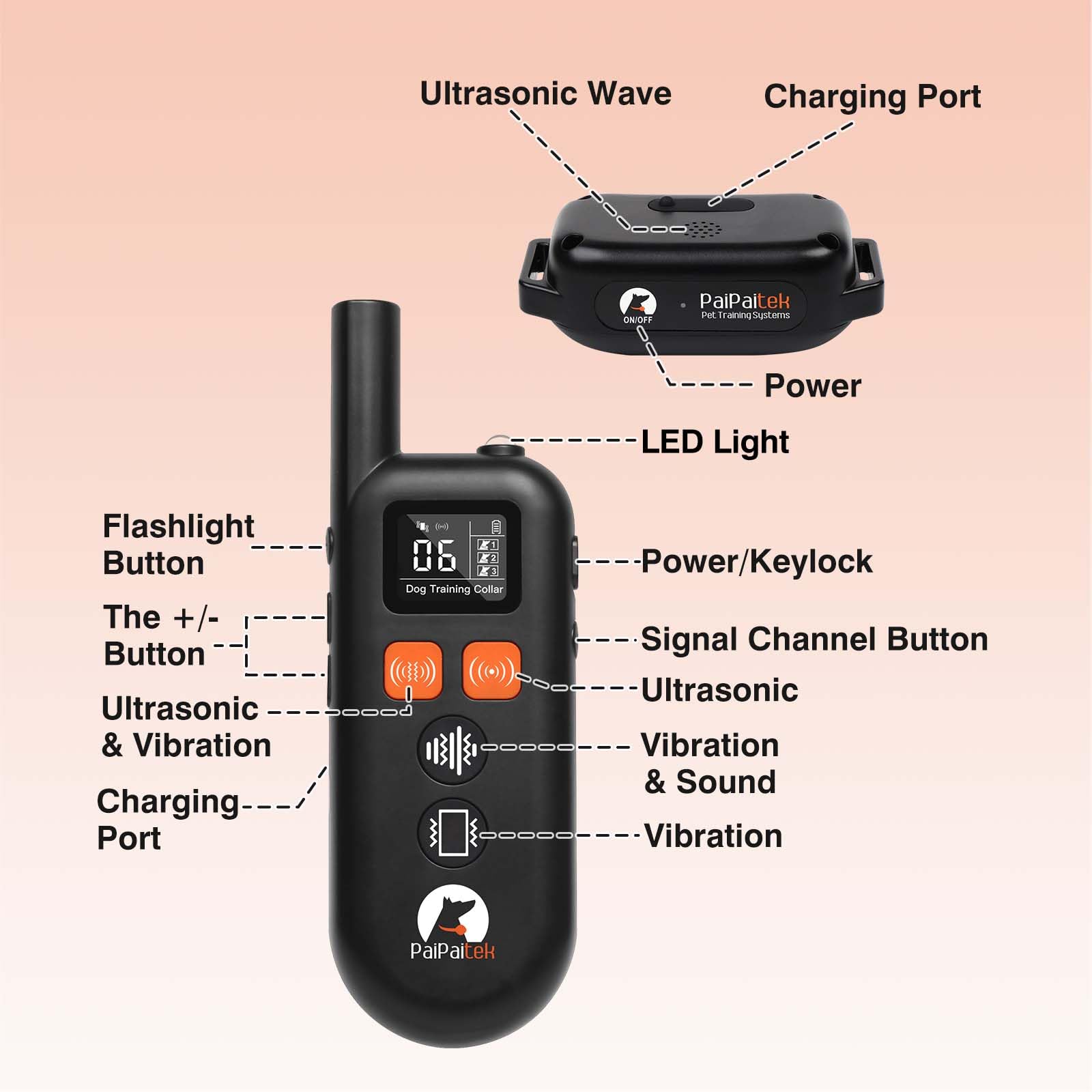 PaiPaitek night-training collar with remote flashlight for evenings