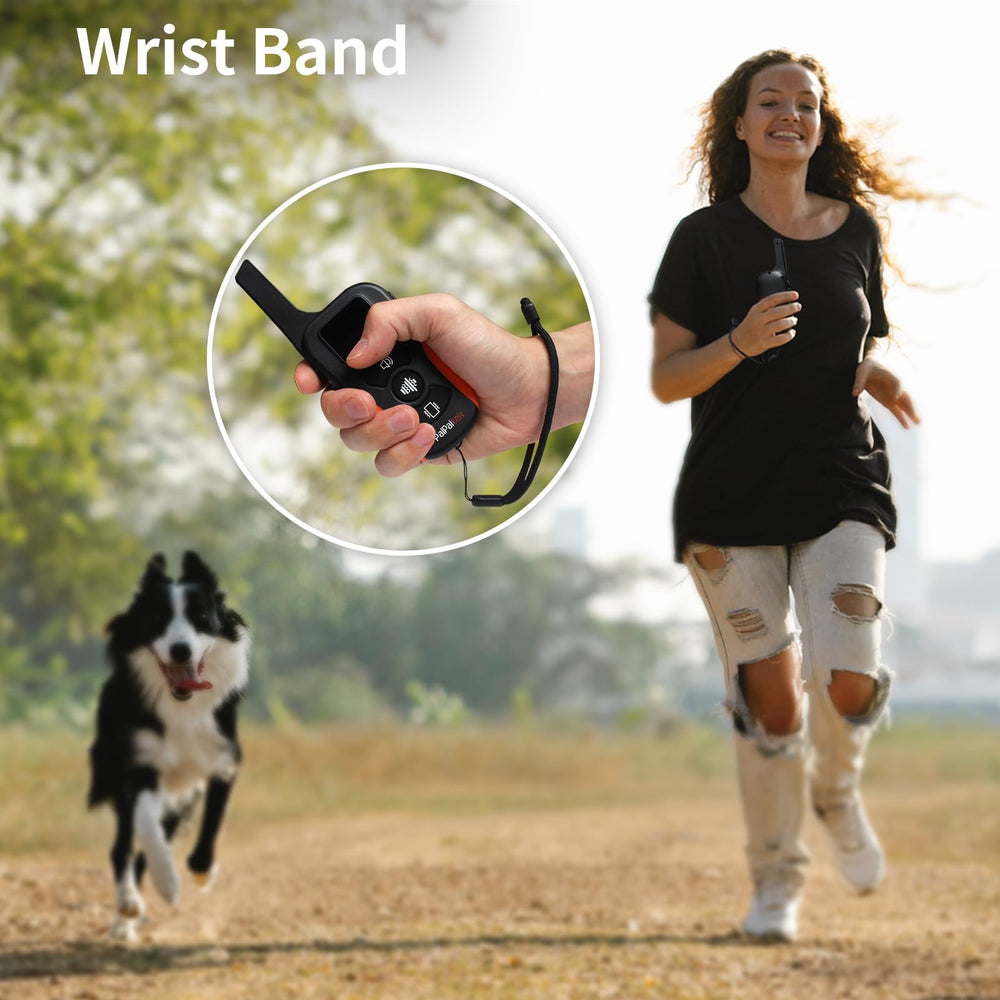 PaiPaitek remote with silicone grip for comfortable training.