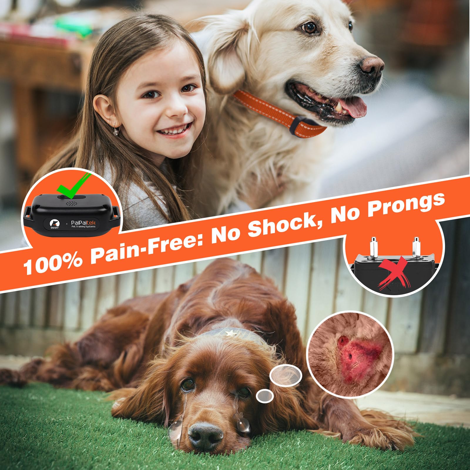 PaiPaitek ultrasonic mode showcases gentle correction for sensitive dogs