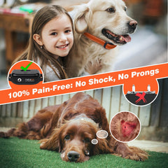 PaiPaitek ultrasonic mode showcases gentle correction for sensitive dogs