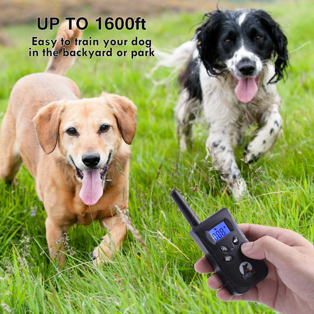 PaiPaitek remote up to 1600 ft for outdoor training