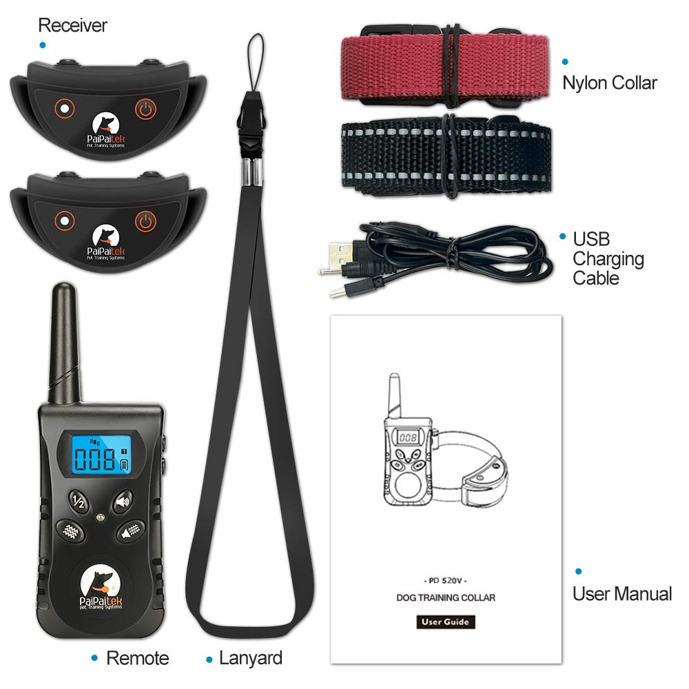 PaiPaitek dual receivers for training two dogs simultaneously