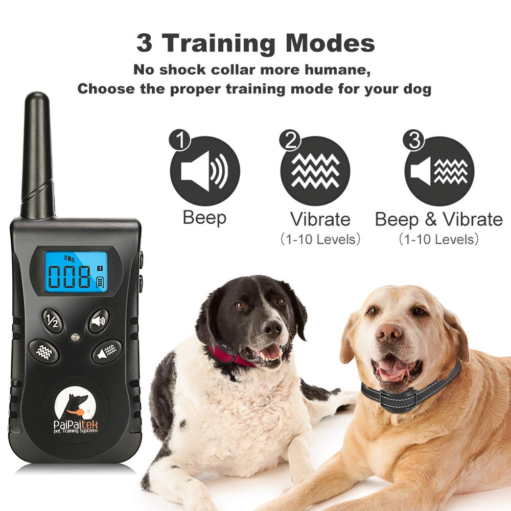 PaiPaitek IPX7 waterproof collar for rain and swimming