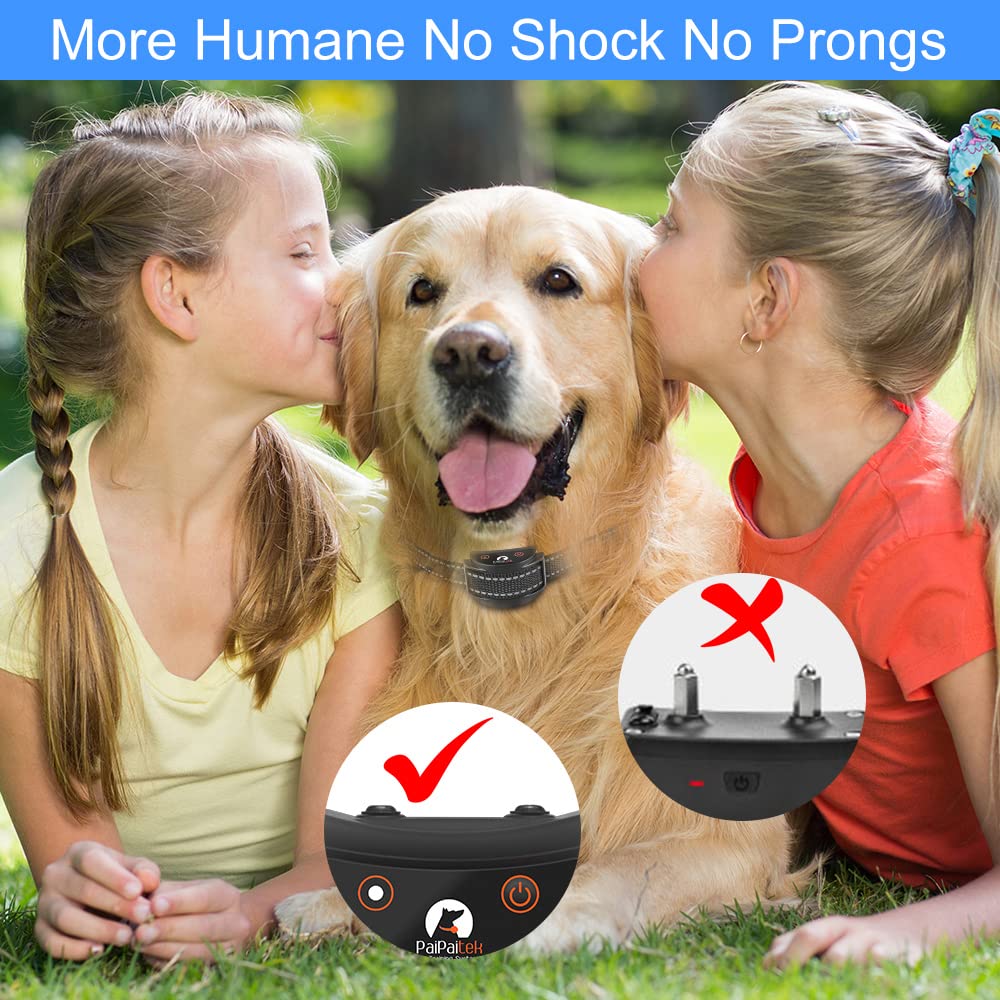 PaiPaitek no-shock training collar with gentle vibration cues