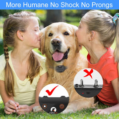 PaiPaitek no-shock training collar with gentle vibration cues