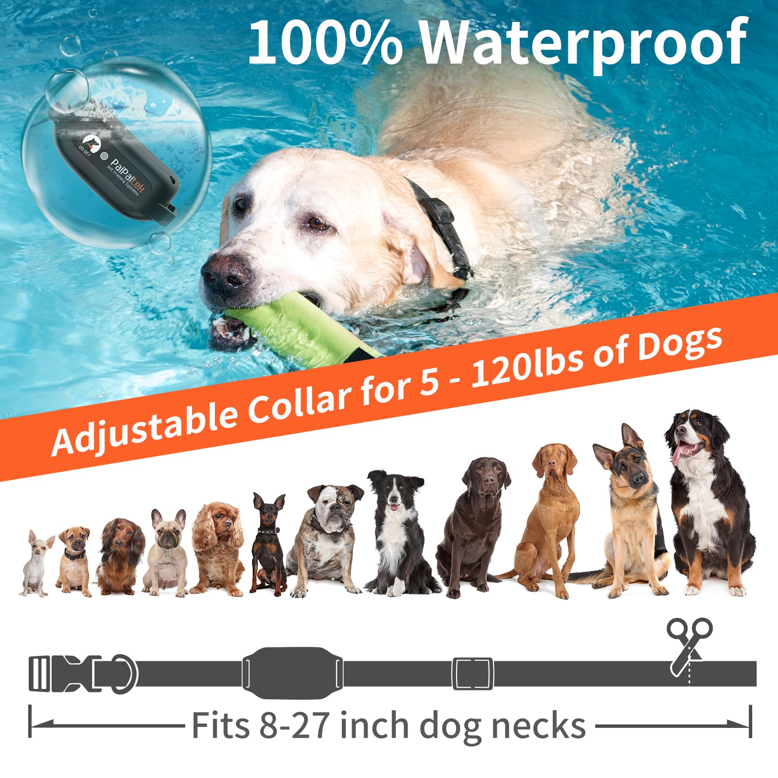 PaiPaitek waterproof collar keeps training in rain or wet areas.