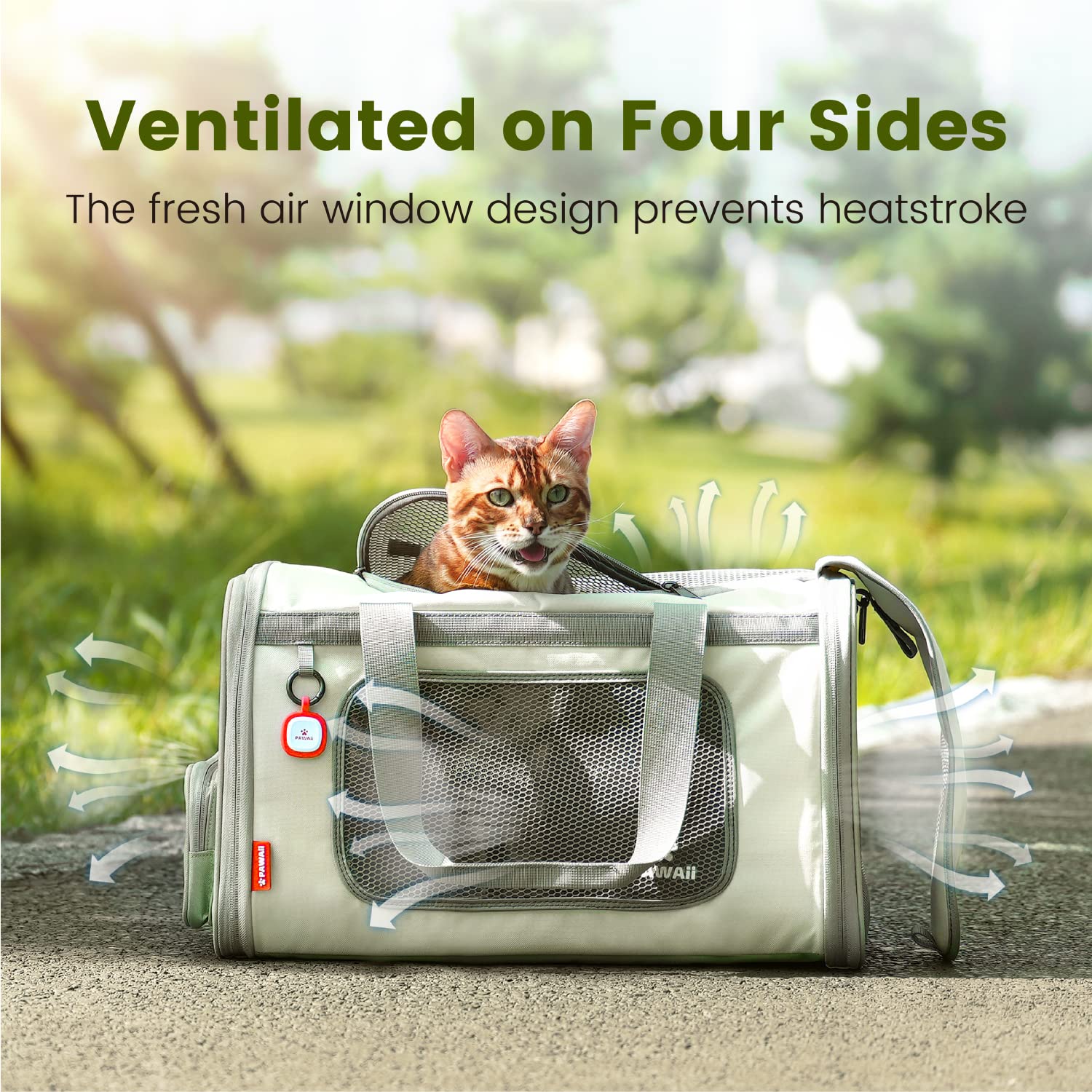 Pawaii cat carrier id-tag gift highlights added safety with QR code.