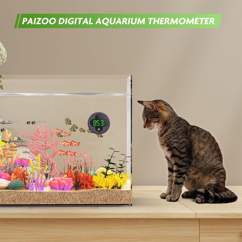 PAIZOO outside-tank placement reduces disturbance while monitoring water temperature.