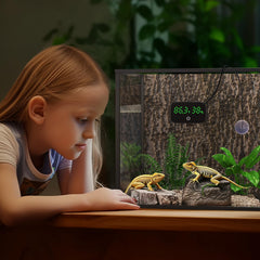 PAIZOO digital terrarium readout for temperature and humidity