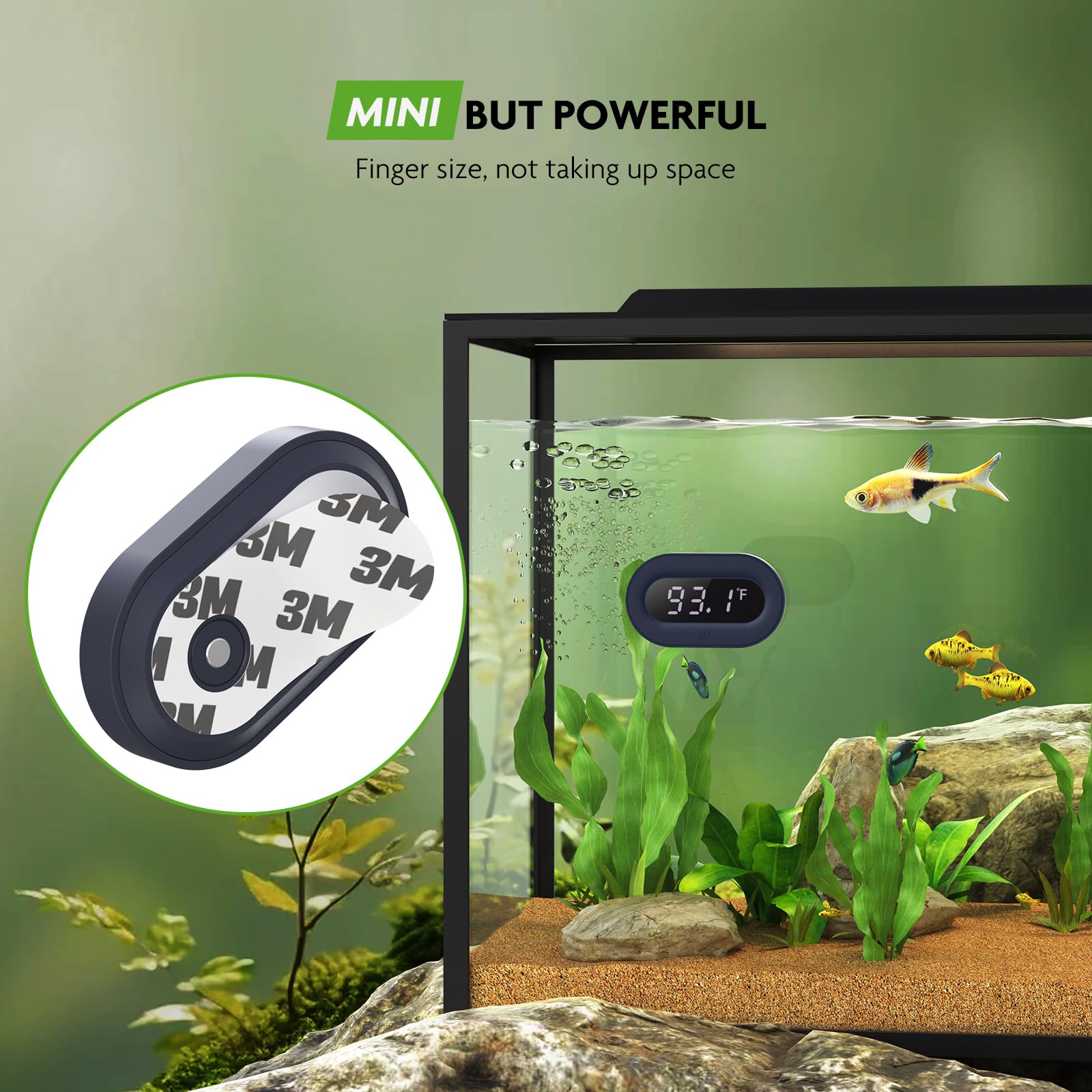 PAIZOO thermometer supports freshwater and saltwater tanks for versatile monitoring