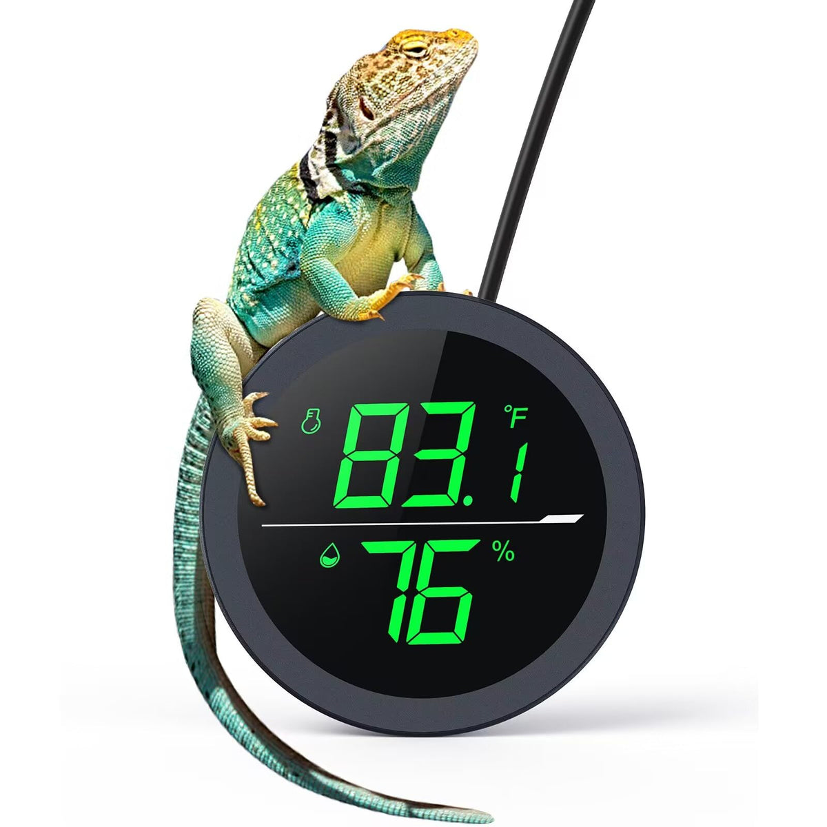 PAIZOO LED thermometer on tank shows accurate readings for terrarium health.