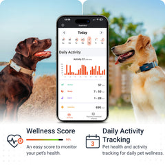 PAJ GPS Dog Tracker app screen demonstrates real-time location and alerts.