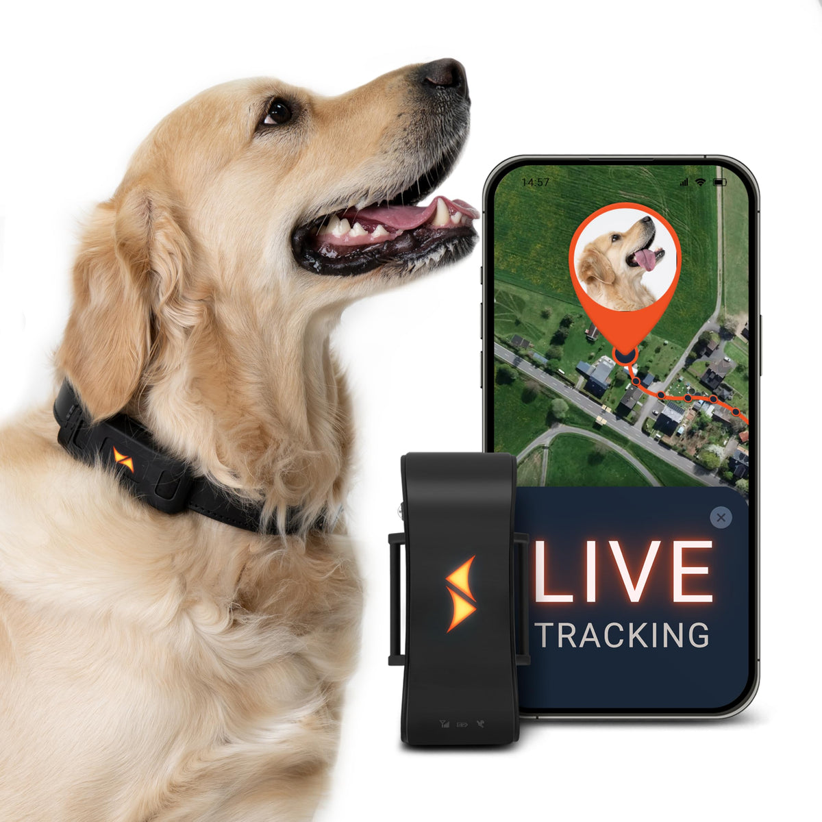 PAJ GPS Dog Tracker compact design on a collar enables lightweight real-time monitoring.