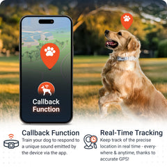 PAJ GPS Dog Tracker IP67 waterproof for swimming and rainy day adventures.