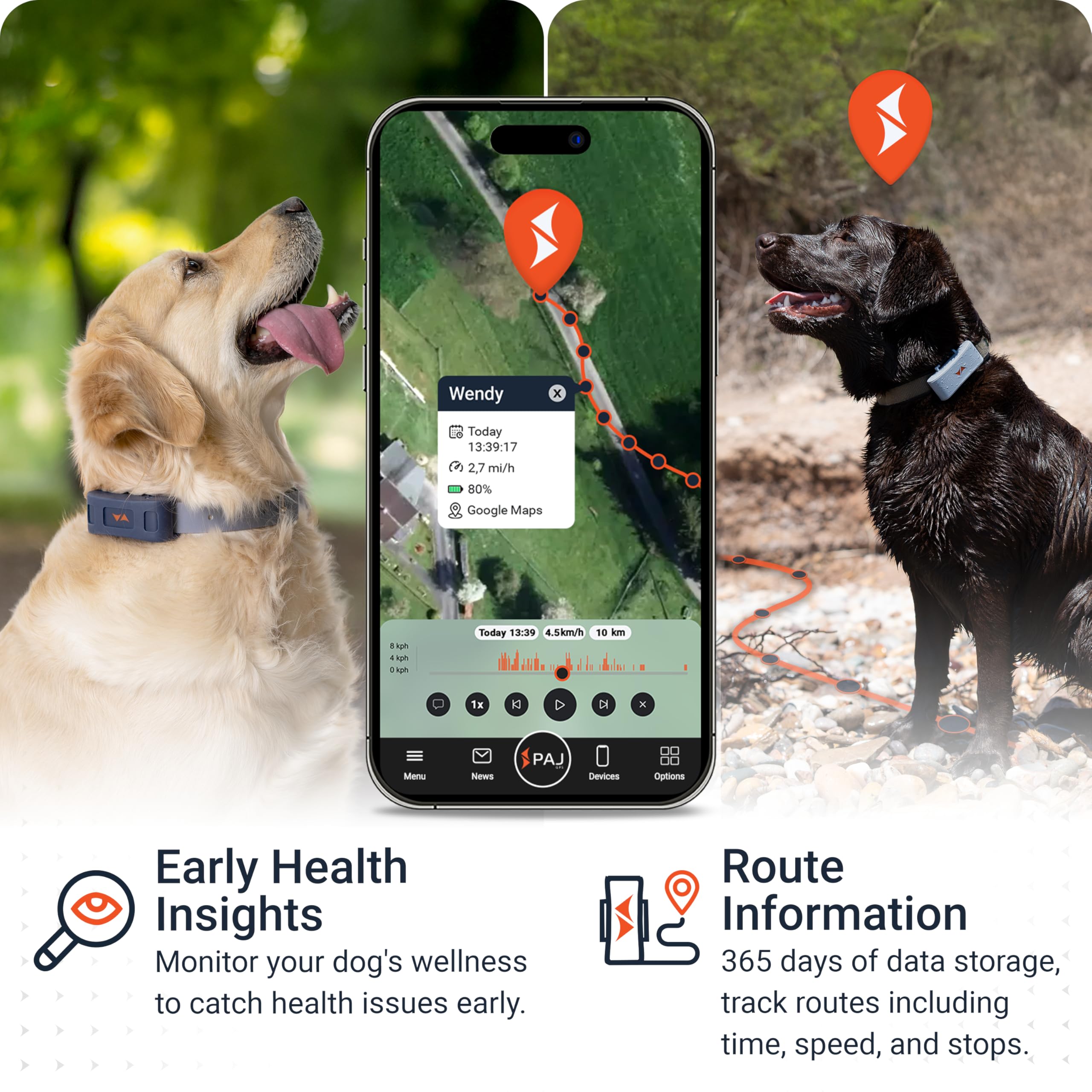 PAJ GPS Dog Tracker on collar shows secure fit during active outdoor play.