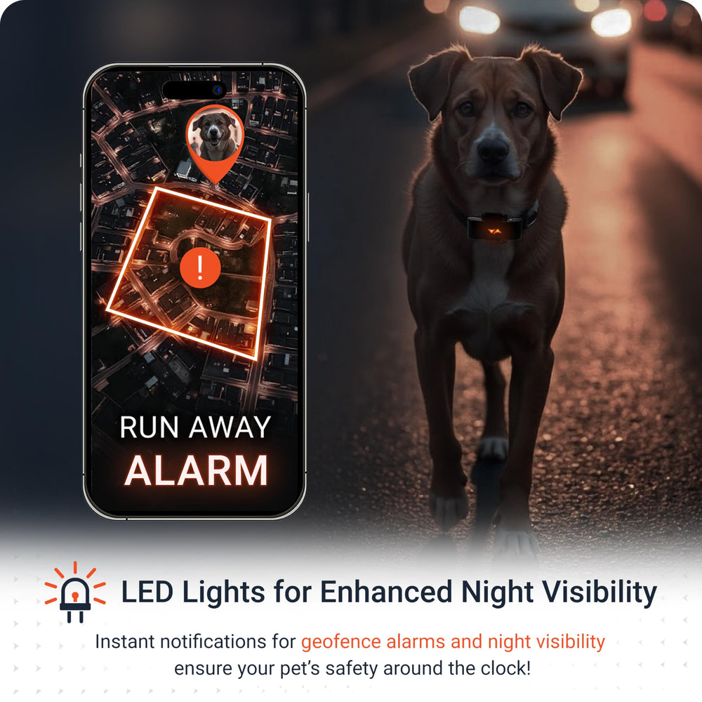 PAJ GPS Dog Tracker runaway alert prompts quick action from your phone.