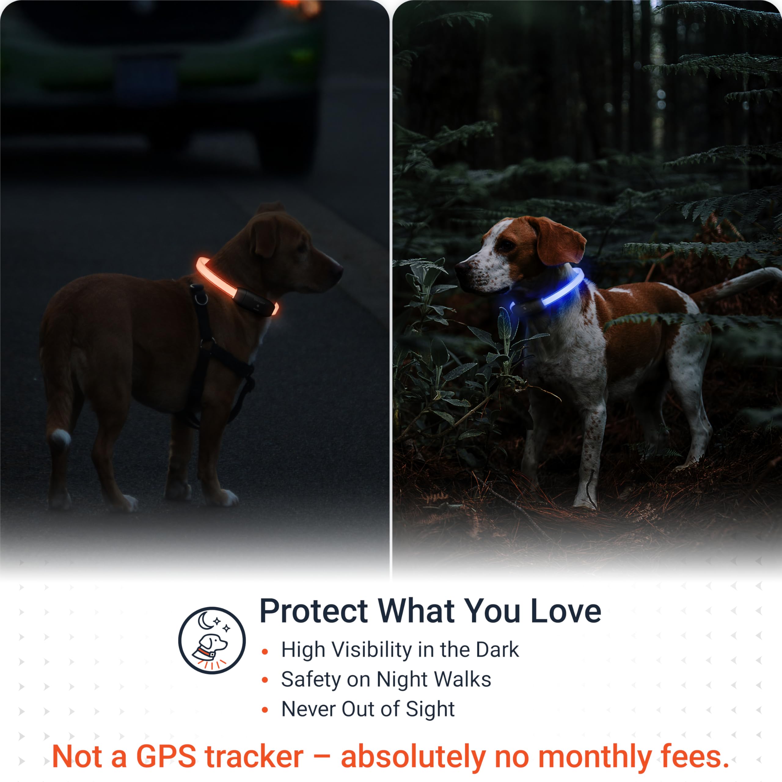 PAJ Light cut-to-fit neck demonstrates adaptable sizing for all pets.