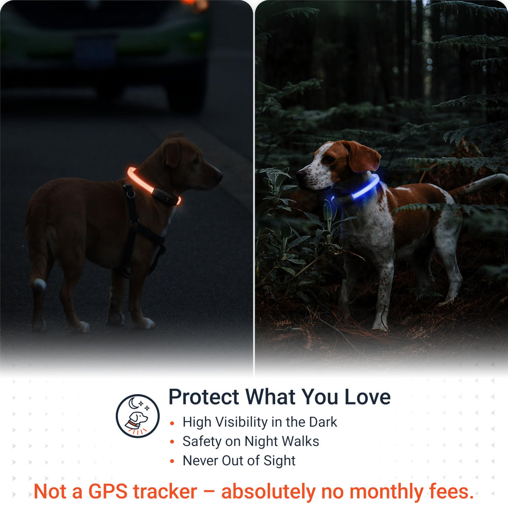 PAJ Light cut-to-fit neck demonstrates adaptable sizing for all pets.