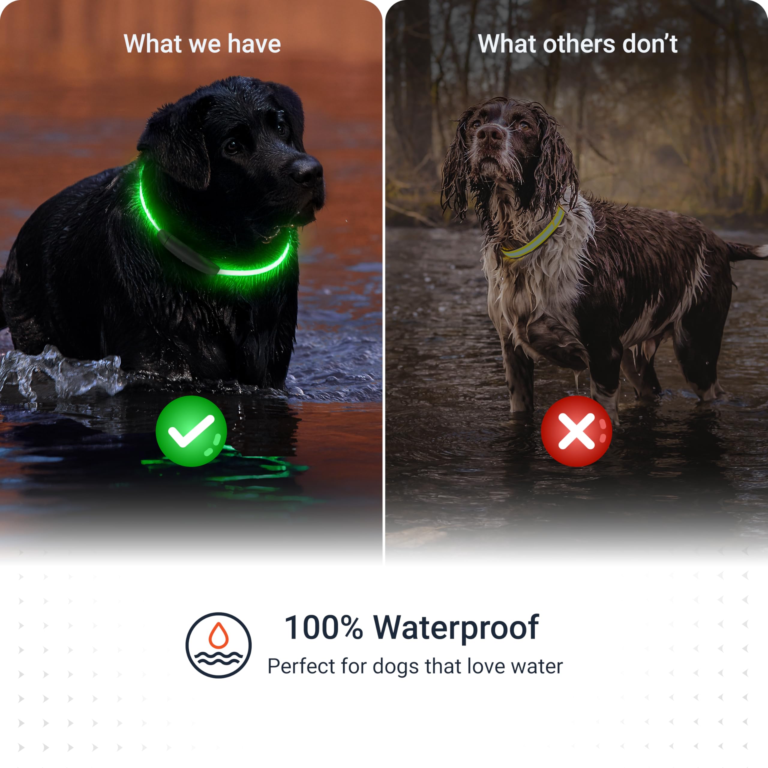 PAJ Light worn during dog-camping adventures for safer exploration.