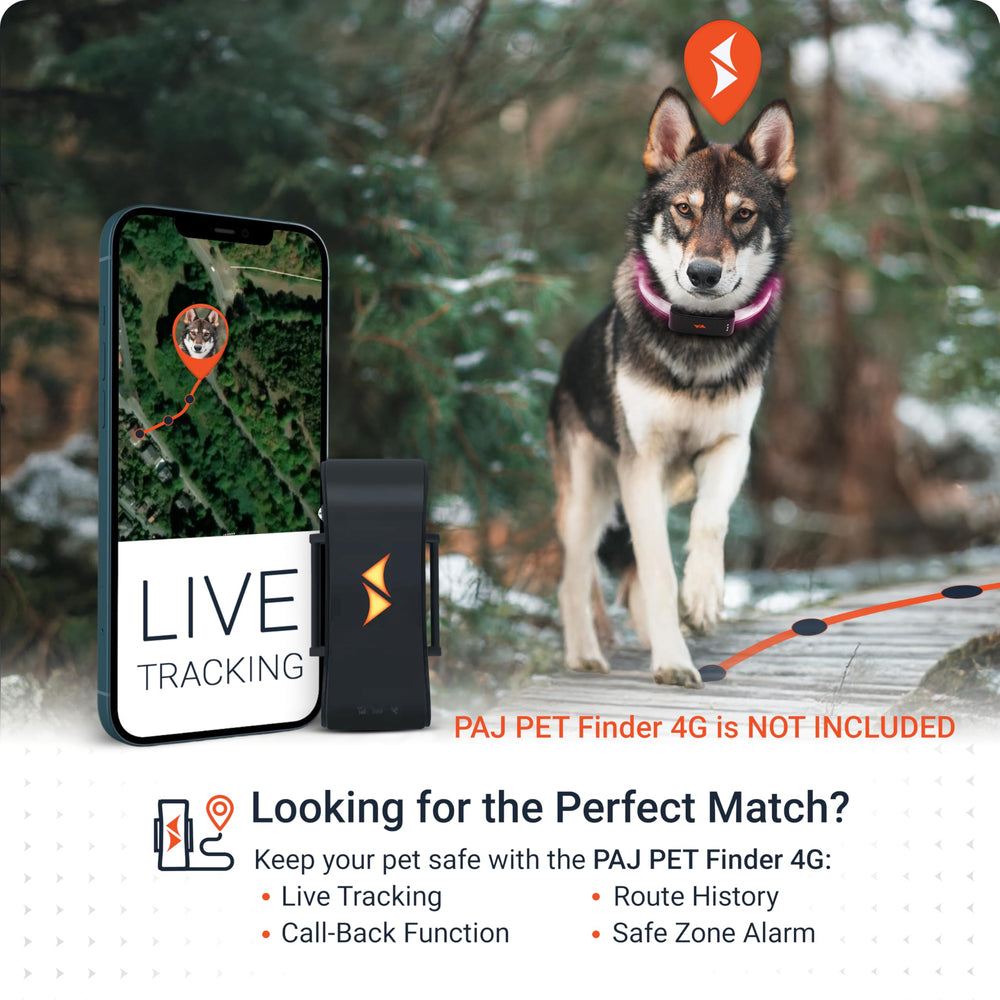 PAJ Light pairs with PAJ Pet GPS tracker for integrated safety.